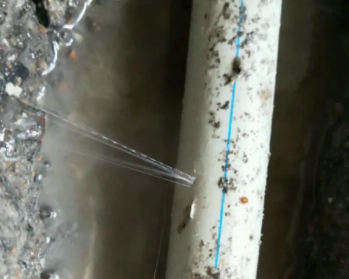 乌兰卫生间测漏水多少钱